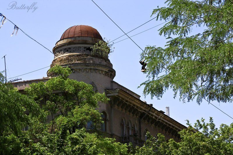 одесса photo preview