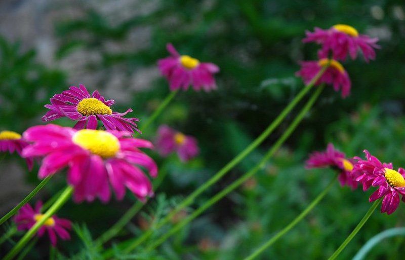 К небуphoto preview