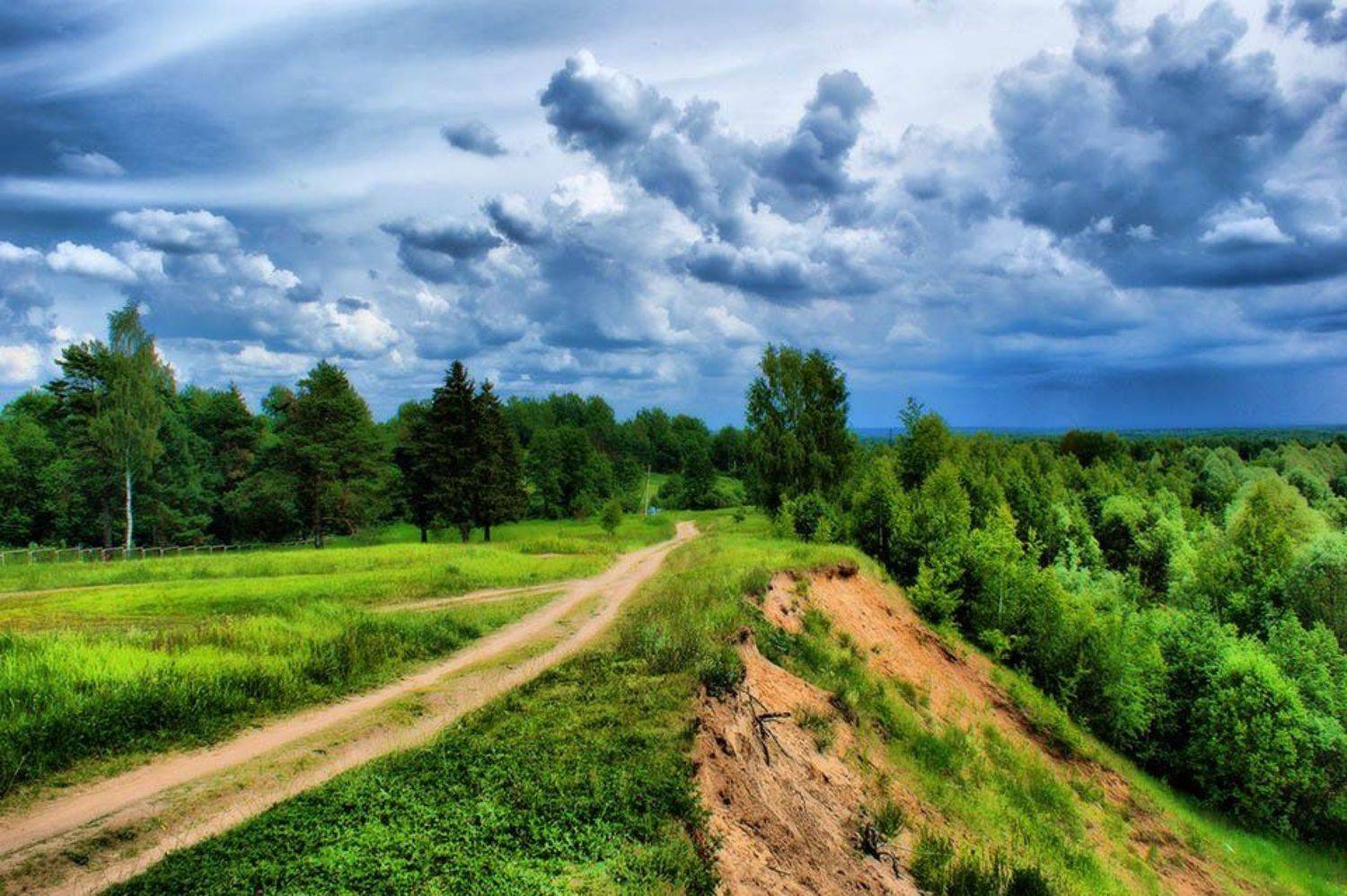 Дорога над лесом. Автор: Игорь , Игорь