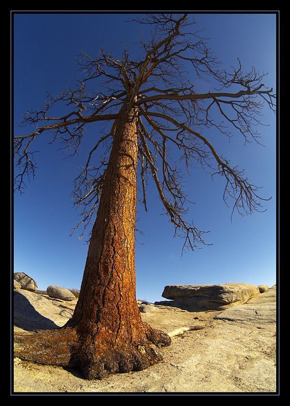 Taft Point, Yosemite.photo preview
