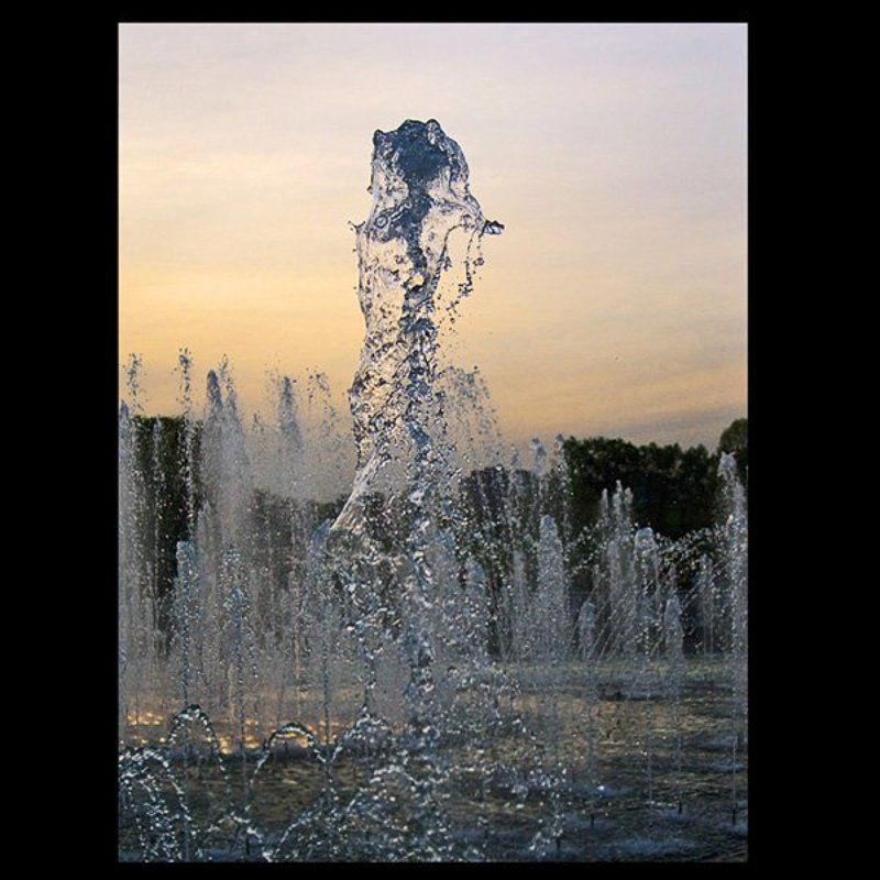 вода фонтан роза цветок Роза фонтана.......photo preview