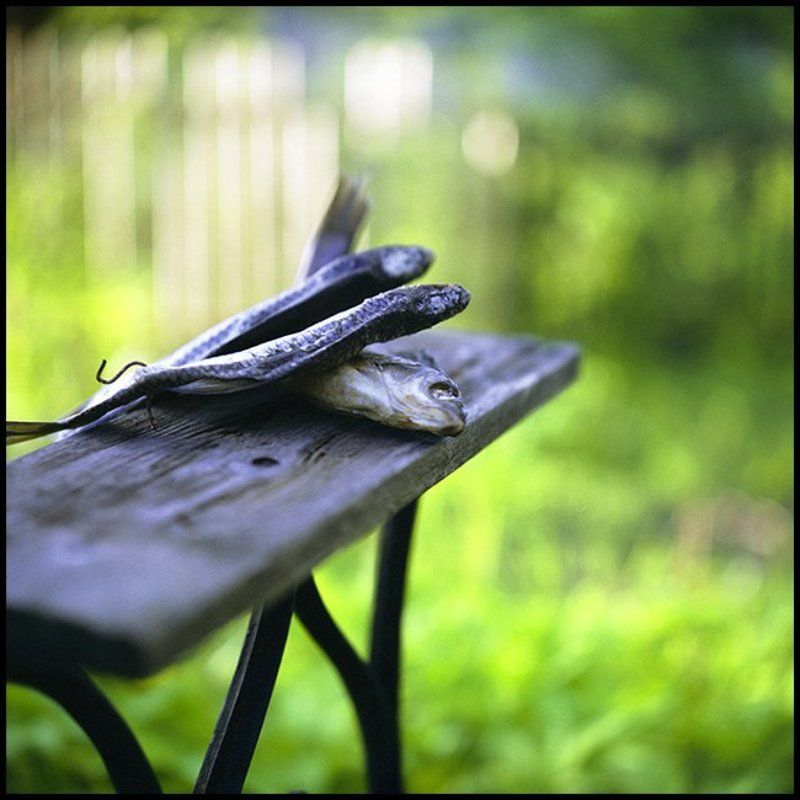 Воблаphoto preview