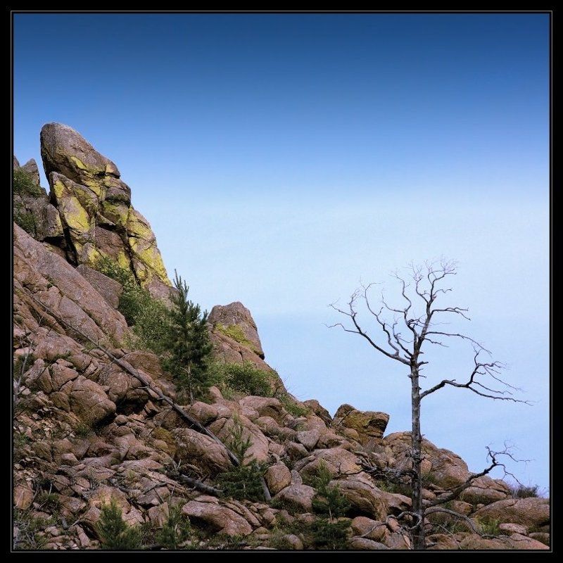 бурятия, горы, небо, обезьяна Хранители древних тайнphoto preview