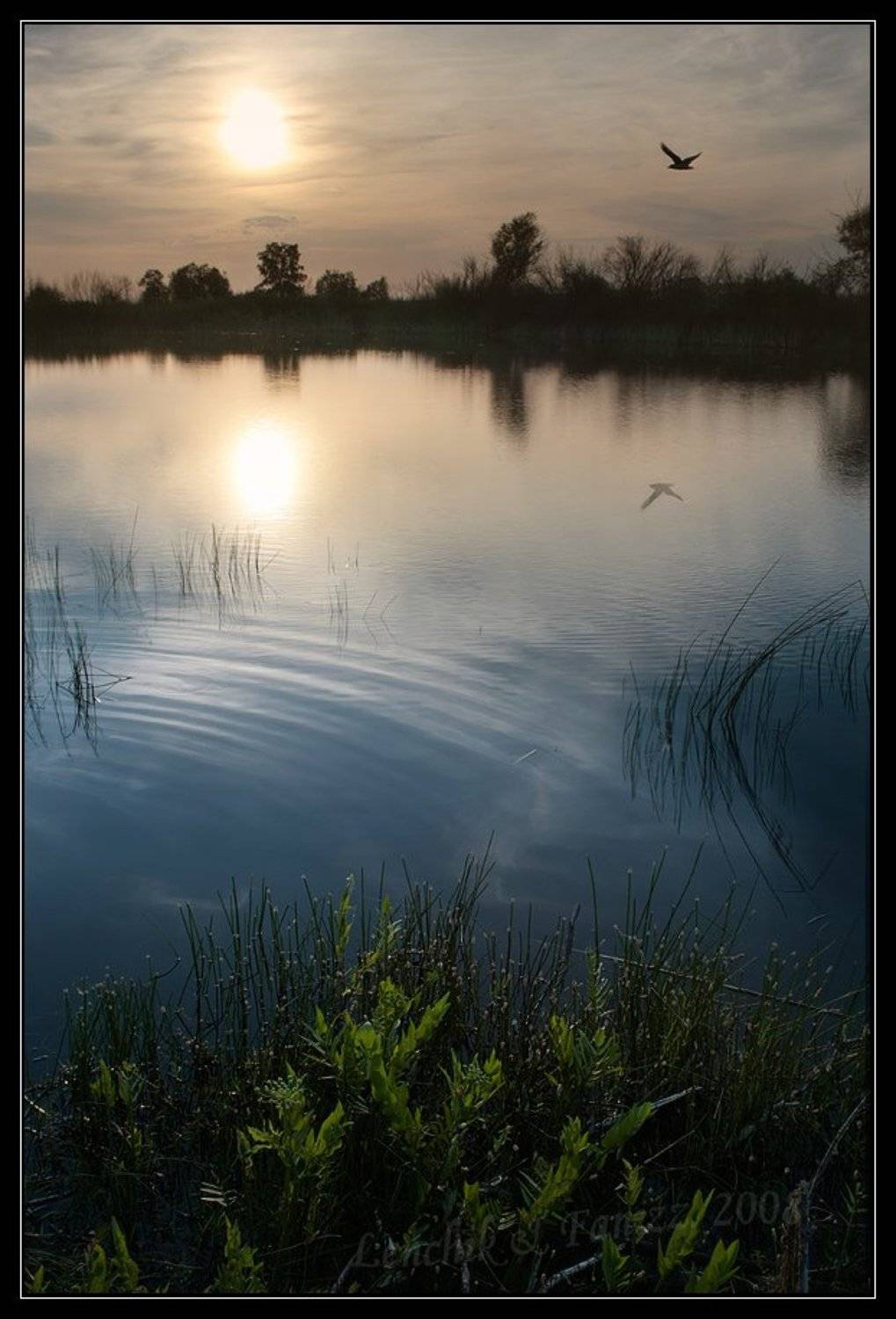 Автор: faniz , faniz