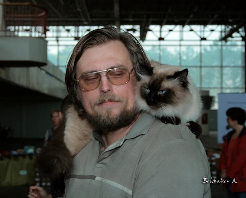 алексей, елисей, выставка, кот Алексей и Елисейphoto preview