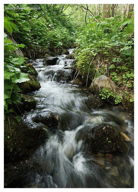 камчатка, петропавловск-камчатский, ручей, водопады Водопадики )photo preview