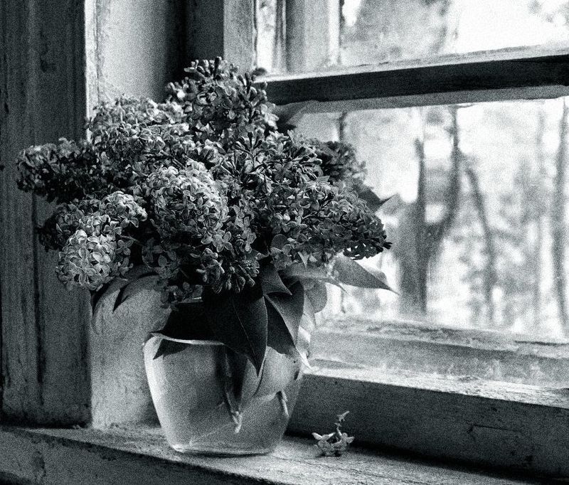 Дачный этюд на подоконникеphoto preview