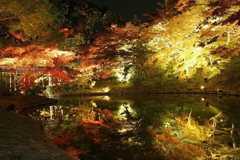 осень, пруд, вода, киото, кодай-дзи, япония Монастырь Кодай-дзи. Киотоphoto preview