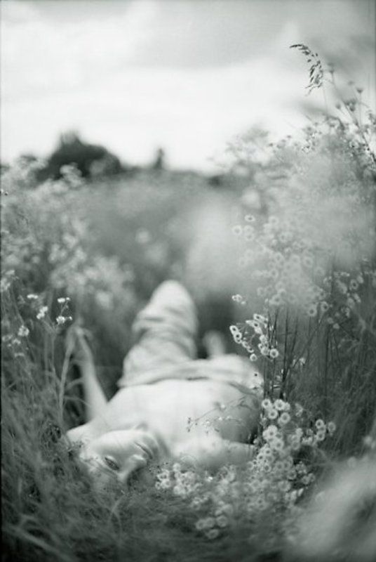 В ромашкахphoto preview