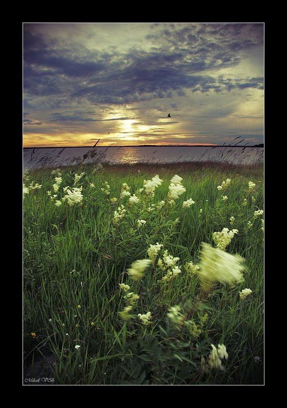 вечером на заливеphoto preview