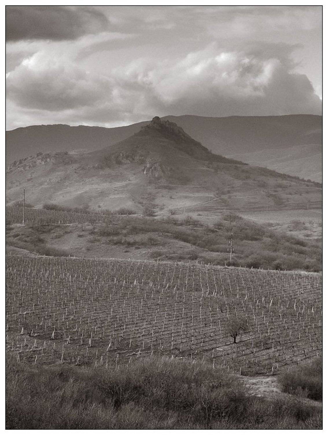 крым, весна, море, коктебель, черное море, Павел