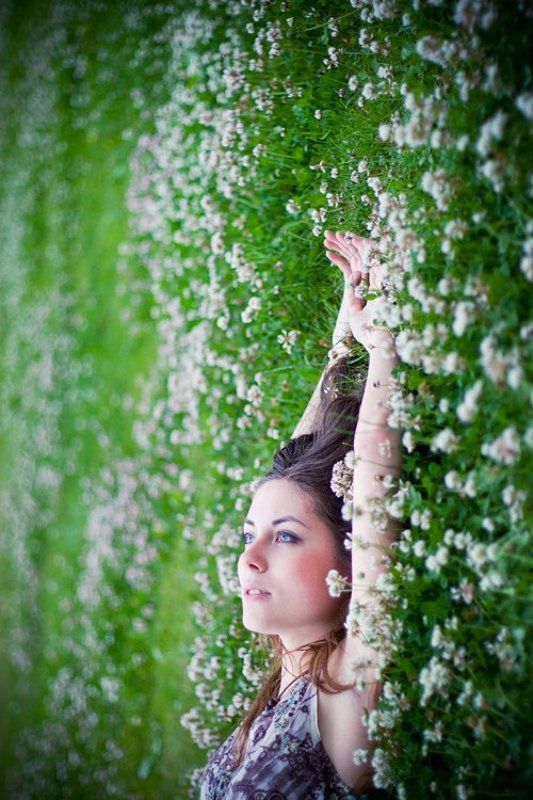 дождь клеверный космосphoto preview