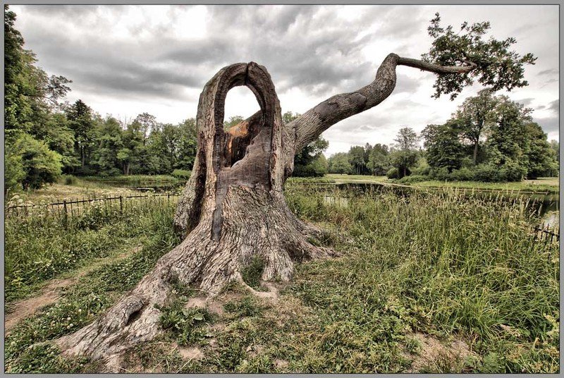 Причуды природы...photo preview