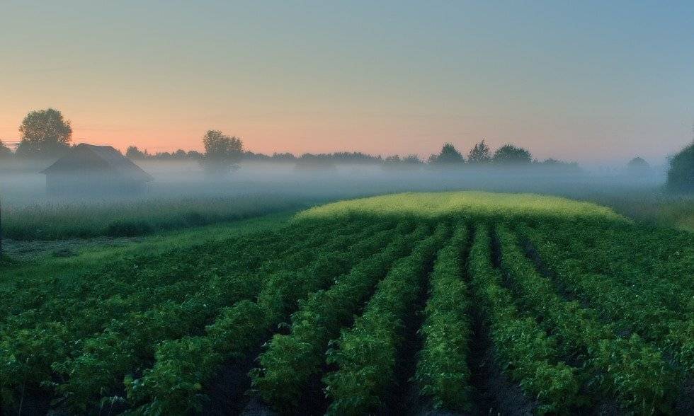 .... Автор: Владимир Липецких , Владимир Липецких