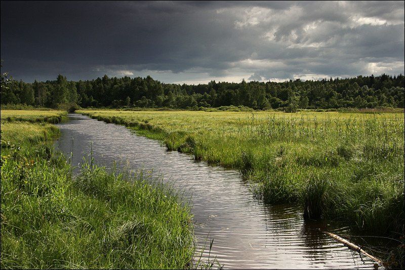 болото, мелиорация, канава, поле, трава, лес, горизонт, туча, небо, облако, дождь, лето, день, солнце, dyadyavasya Мелиоративный пейзажphoto preview