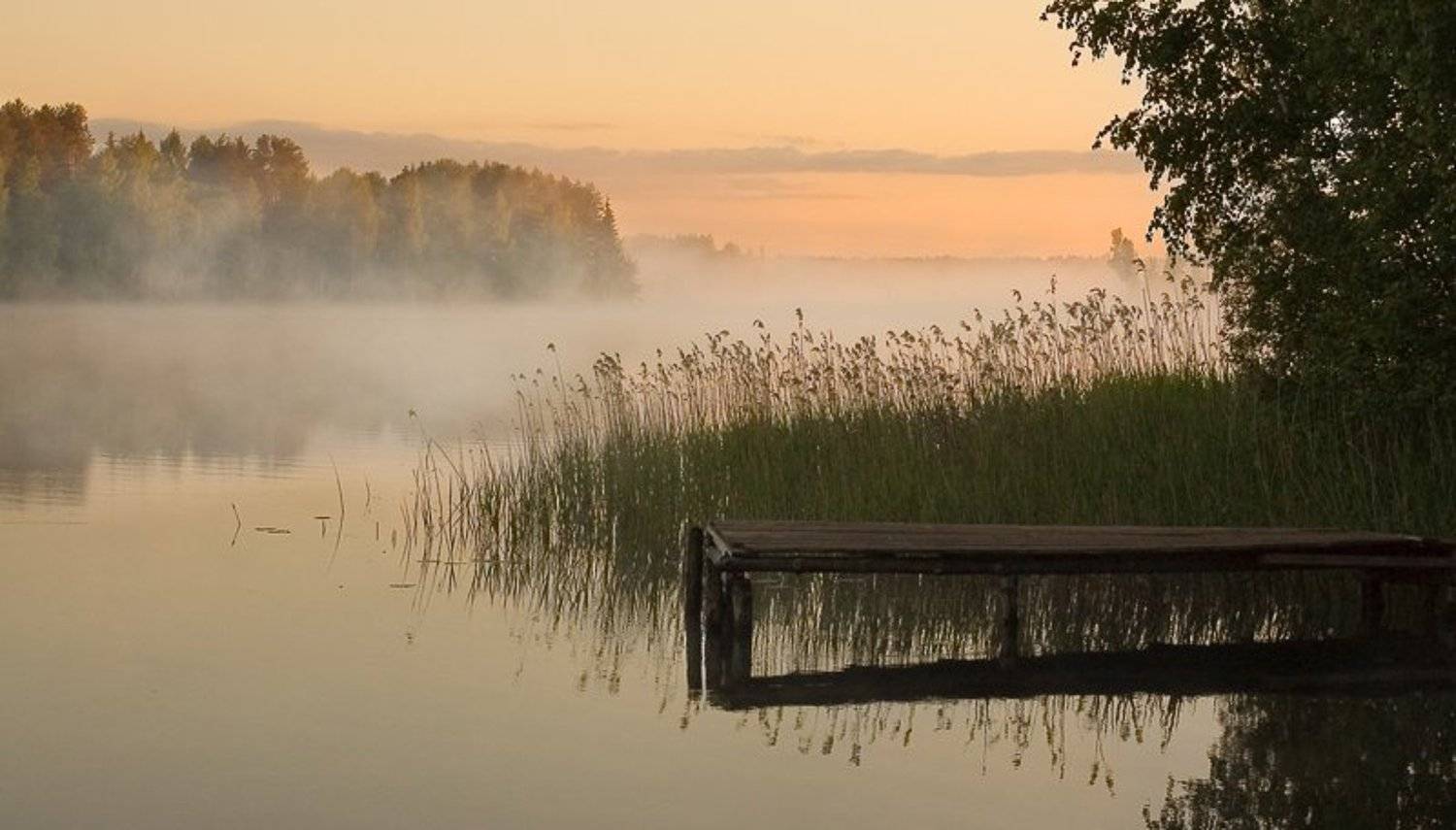 , Ефремов Юрий