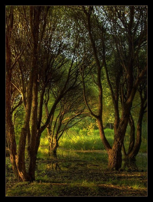 Сказочный уголок...photo preview