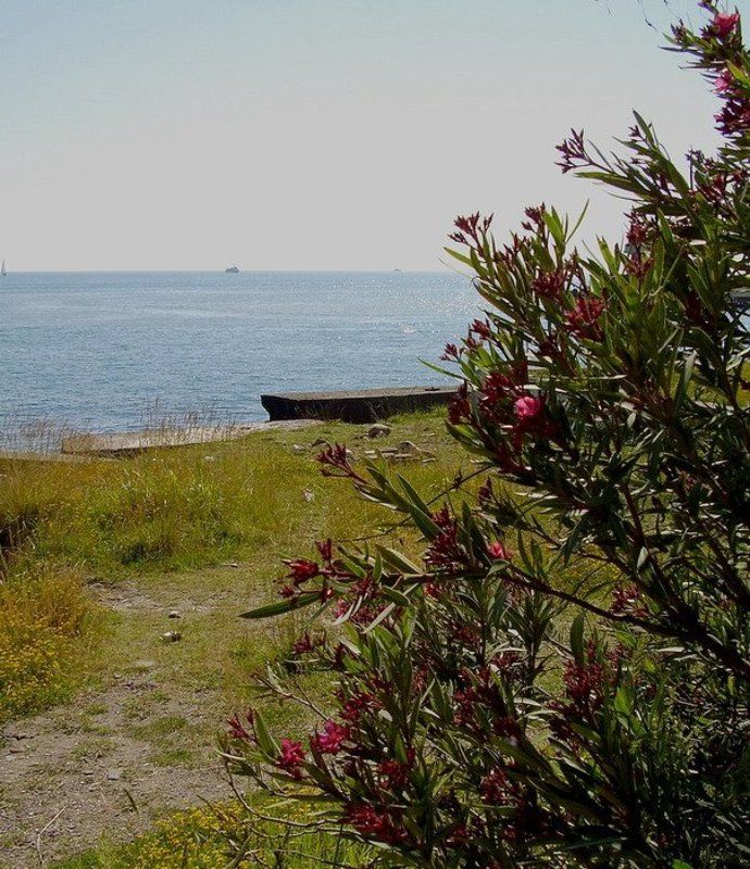 Морской пейзаж 2photo preview