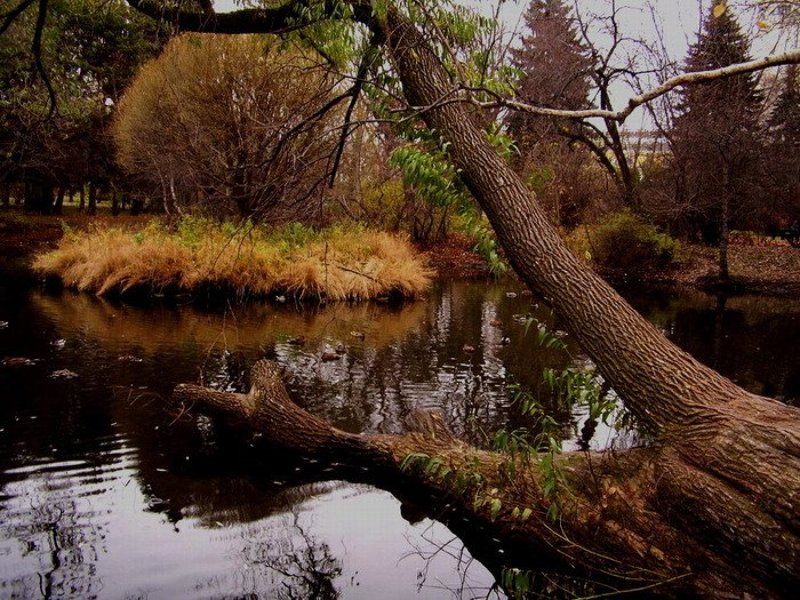 осень, парк Осенний паркphoto preview