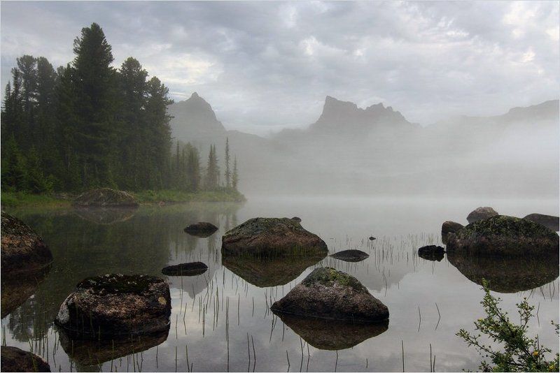 Светлоеphoto preview