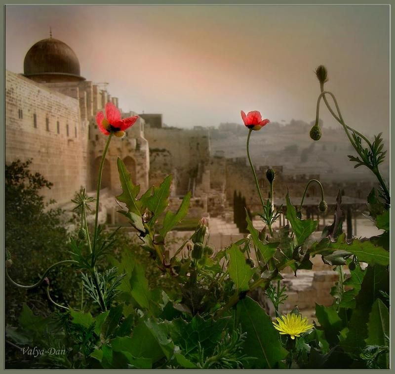 Иерусалимское утро... фото превью