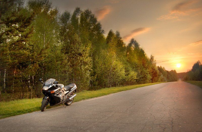 kawasaki, вядь Путь домойphoto preview