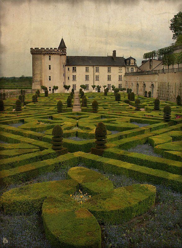 франция, замок, вилландри, старая, сказка, сад, любовь, книга, иллюстрация Старая французская сказкаphoto preview