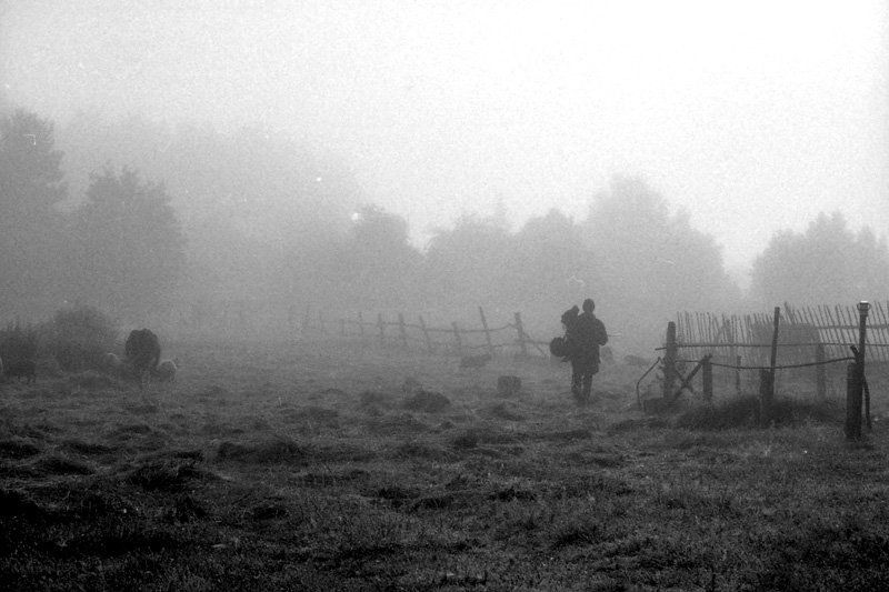 пленка, чб, 35мм *** фото превью