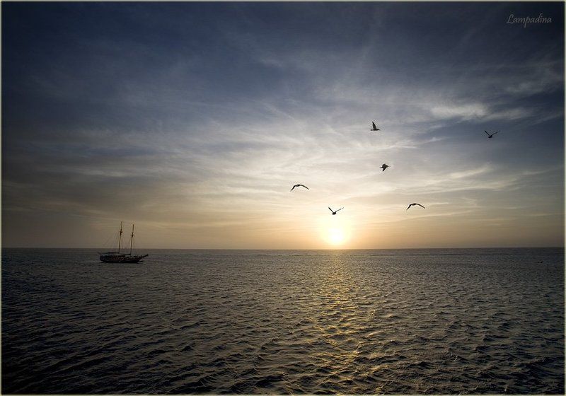 красное море, судан, закат, яхта, чайки Закатно-суданская фото превью