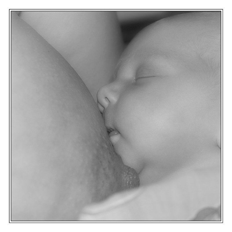 Формы жизниphoto preview