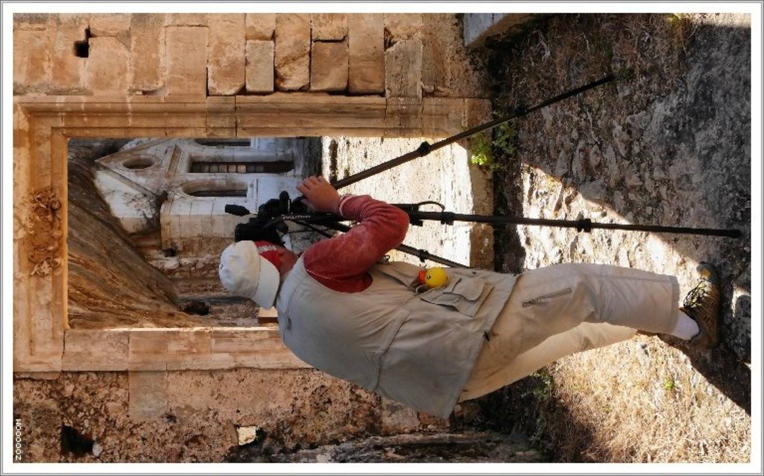 крит, Алексей (zooooom)