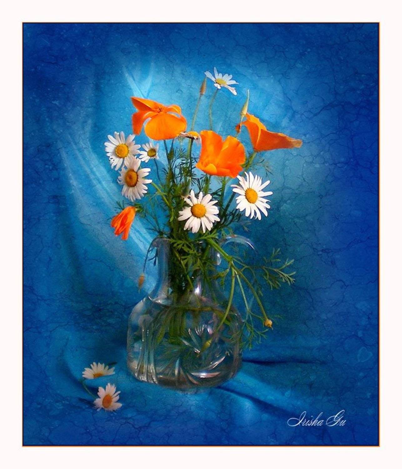 Автор: Ирина натюрморт, цветы, ромашки, Ирина