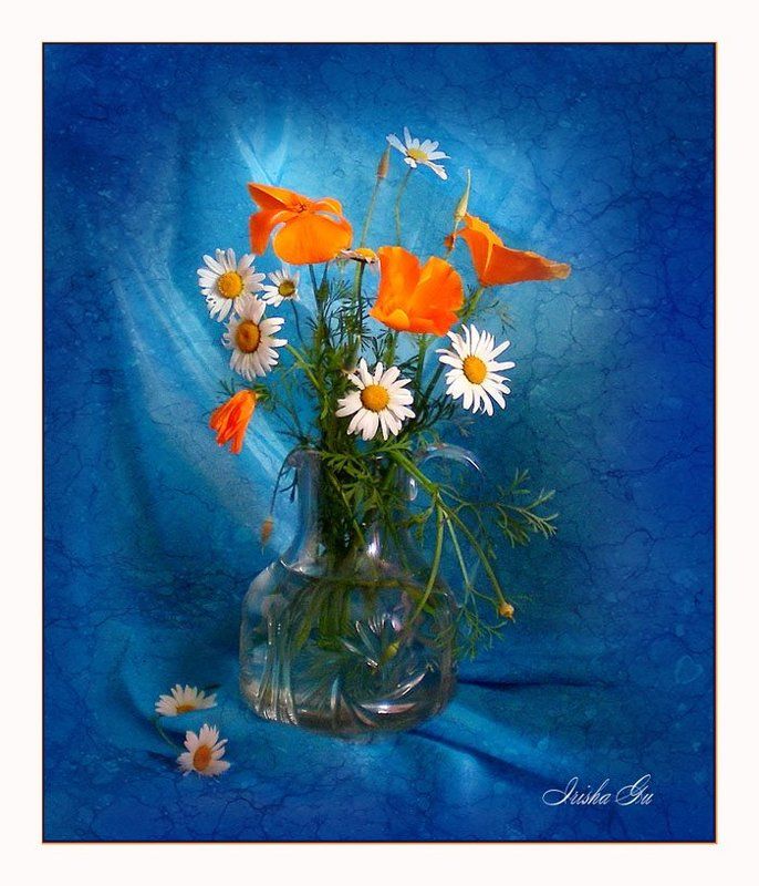 натюрморт, цветы, ромашки photo preview