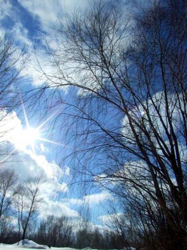 Веснаphoto preview