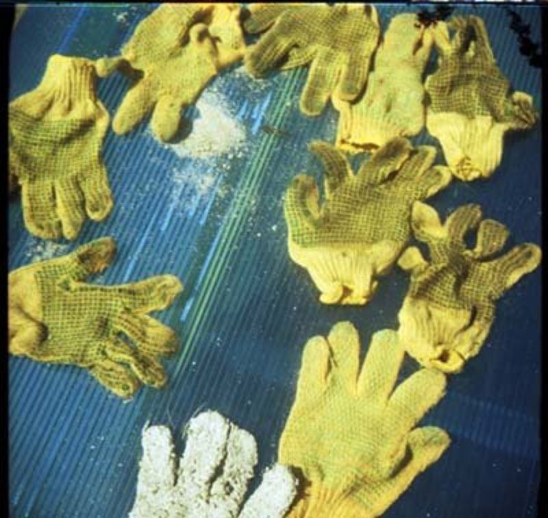 Мир Труд Майphoto preview