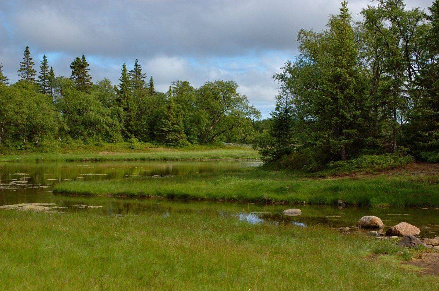 соловецкий архипелаг, остров соловецкий, филипповские садки, белое море, Kaiser Sozo