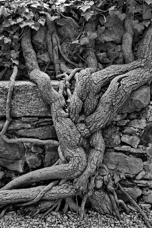 По моему, это любовь.... Автор: Гагик , Гагик