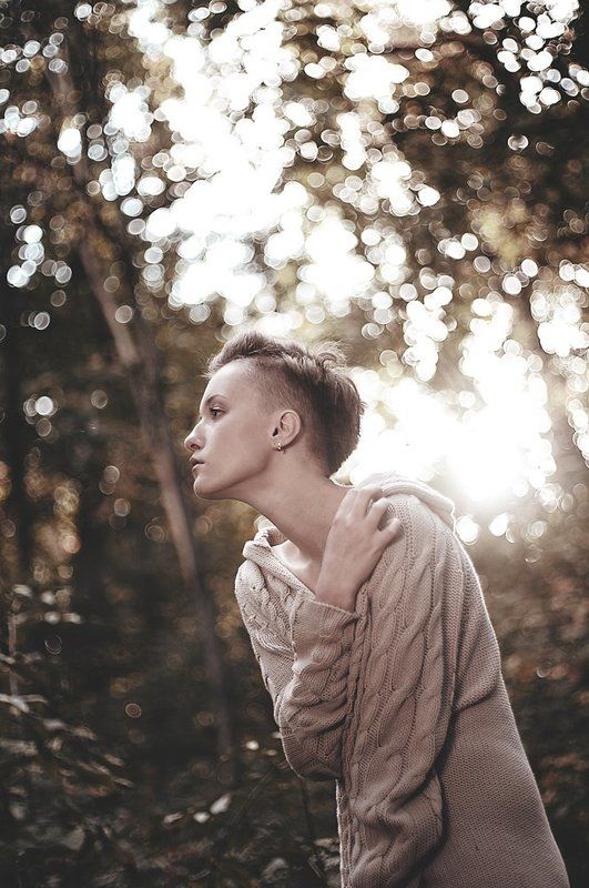 In forestphoto preview