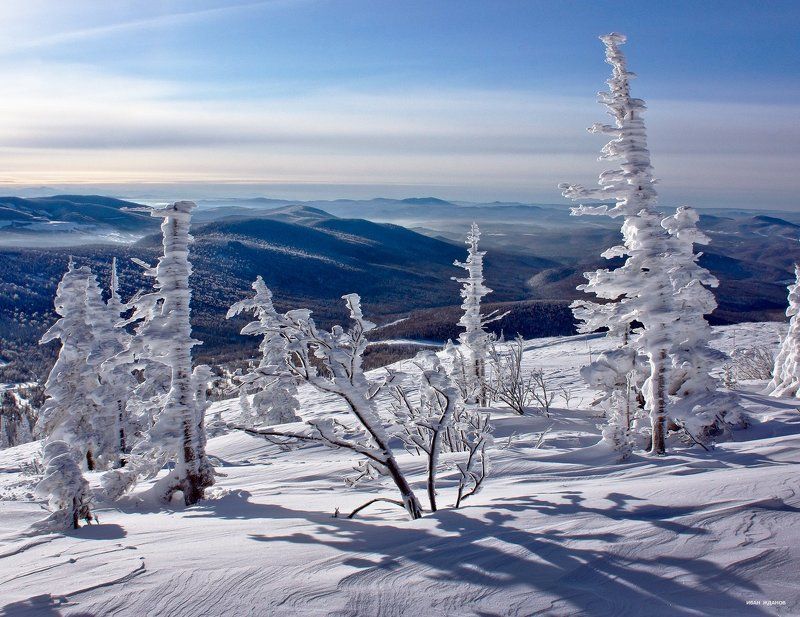 горы, шерегеш, горная шория, зима, сибирь Ёлки-палкиphoto preview