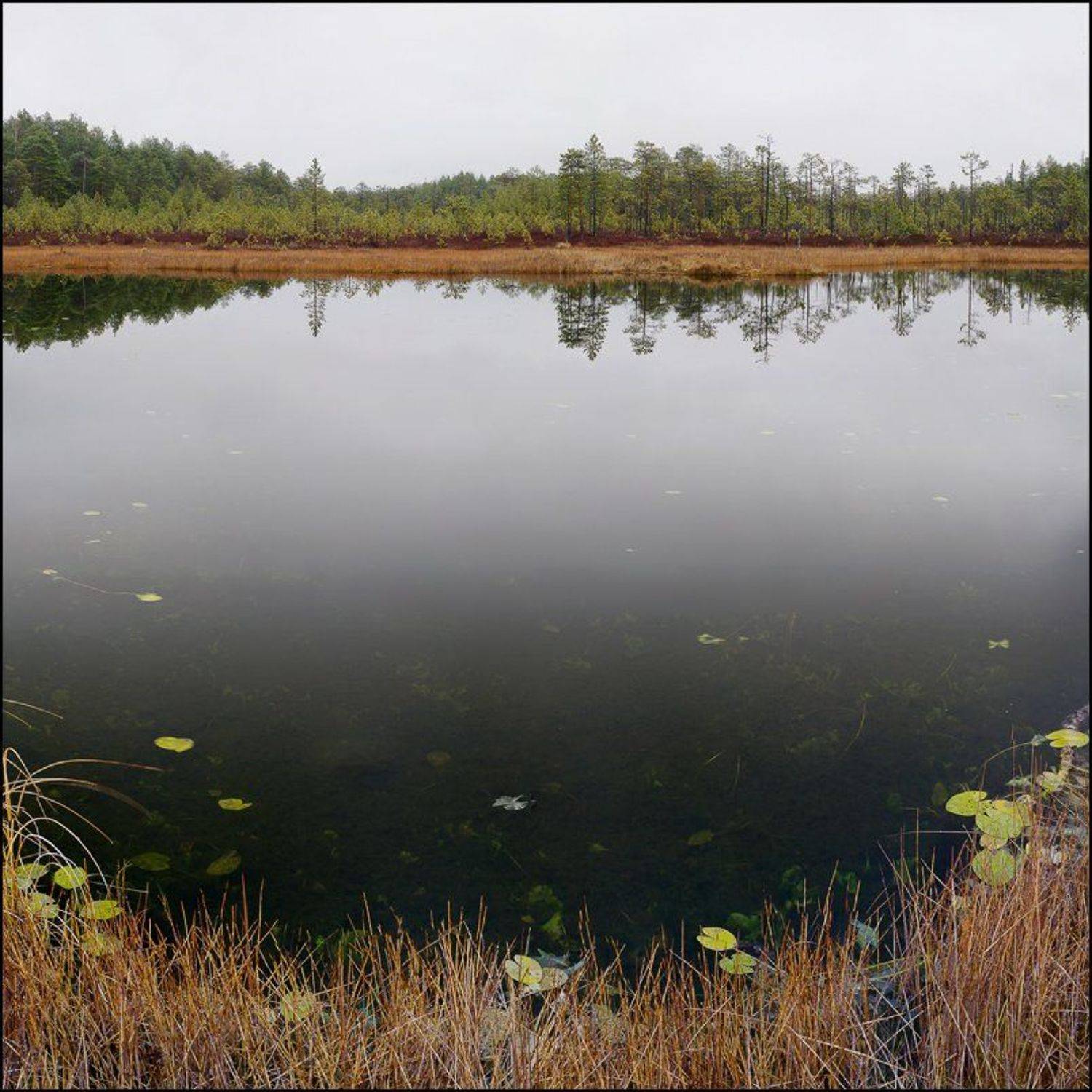 северный, урал, хмао, Alexander Gil