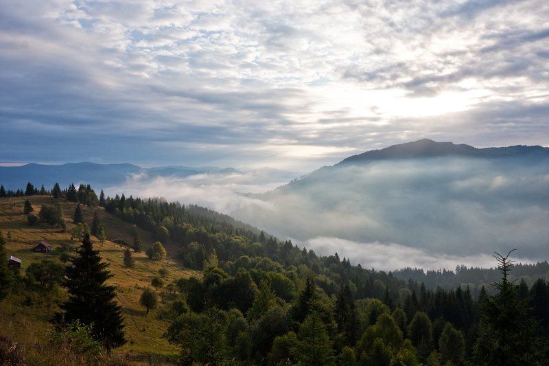 Разгоняя туман фото превью