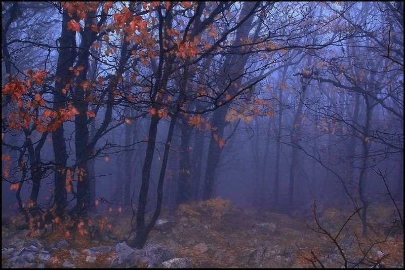 Сумеркиphoto preview