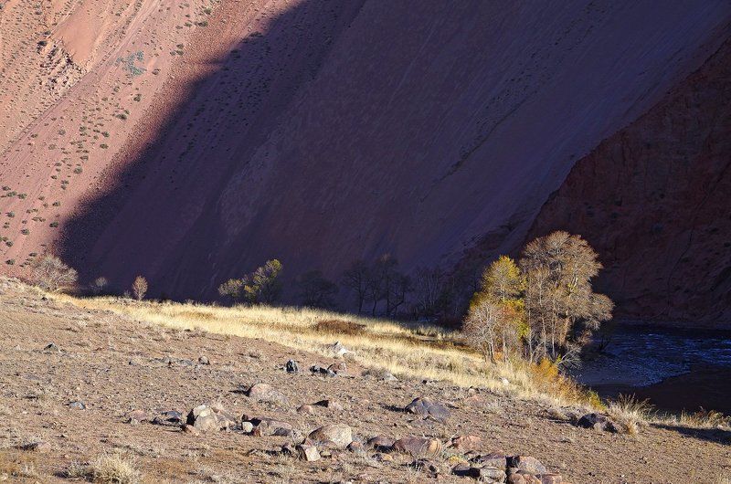 киргизия, тень и свет Противостояние... фото превью