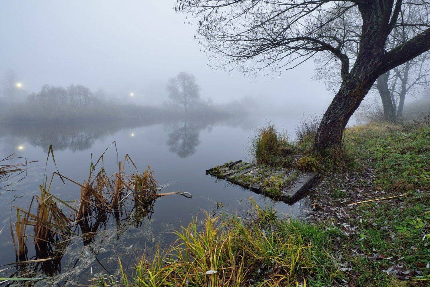 ***. Автор: Максим Евдокимов , Максим Евдокимов