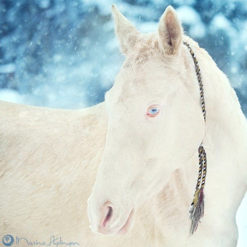 Неземная...photo preview