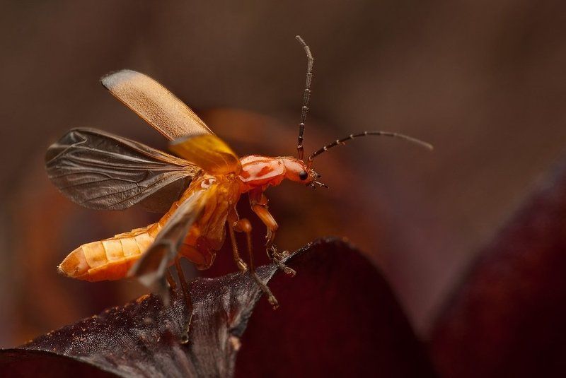 zatrzymać chwilę...photo preview