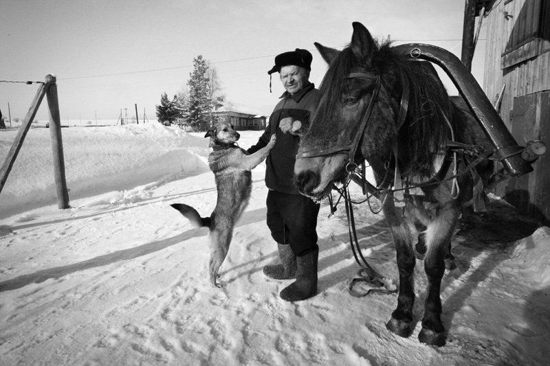 Михалычphoto preview