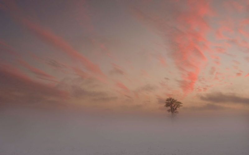 Одиночествоphoto preview