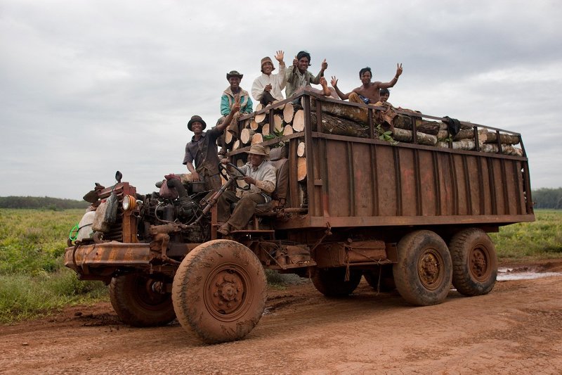 Жизнь прекрасна!photo preview