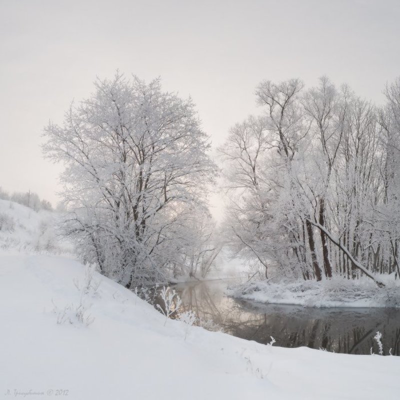 Лозовий Викрут. Антологія.photo preview
